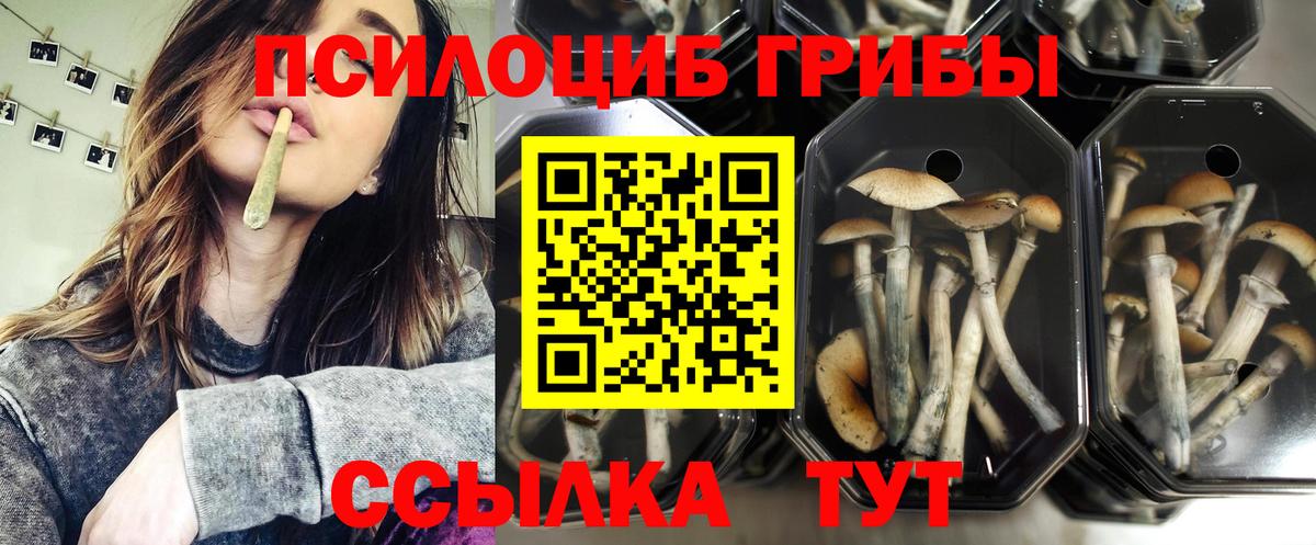 Семилуки  Псилоцибиновые грибы мухоморы  Вход с VPN 