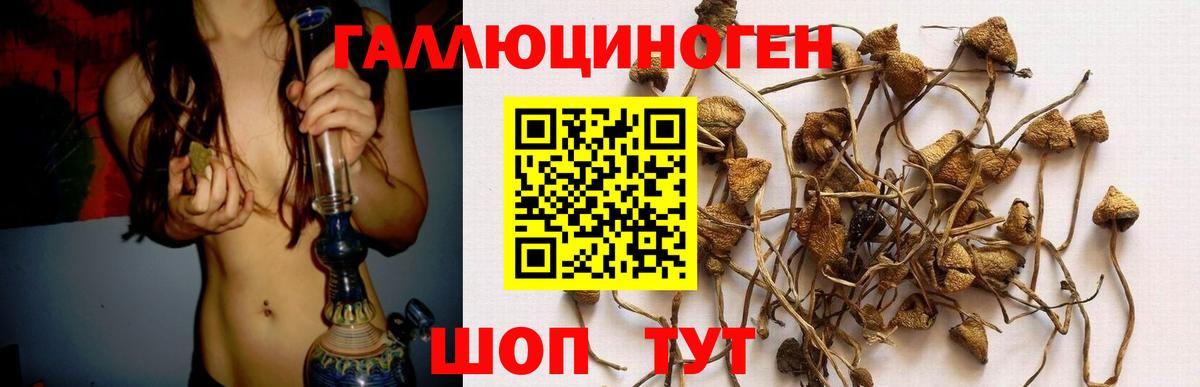 Псилоцибиновые грибы ЛСД Семилуки